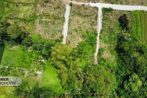 1285m2 Land in Tabanan, Bali (8516) 10