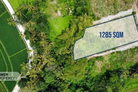 1285m2 Land in Tabanan, Bali (8516) 15
