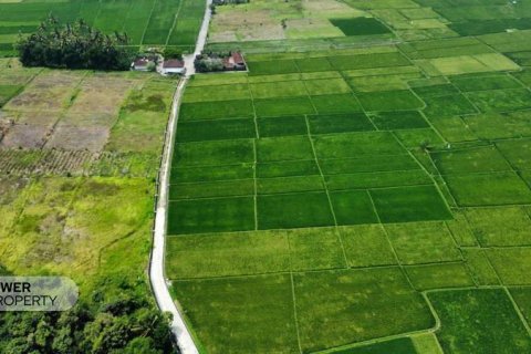 1285m2 Land in Tabanan, Bali (8516) 3