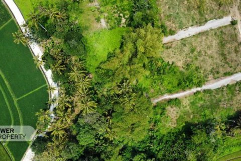 1285m2 Land in Tabanan, Bali (8516) 9