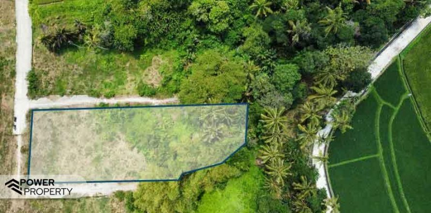 1285m2 Land in Tabanan, Bali (8516)