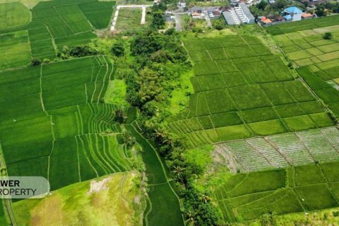 1285m2 Land in Tabanan, Bali (8516) 6