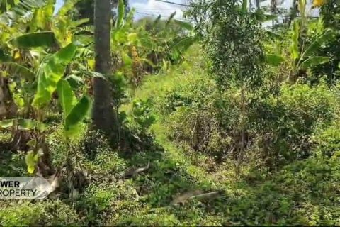 Tanah kavling 700m2 di Karangasem, Karang Asem, Bali (8510) 5