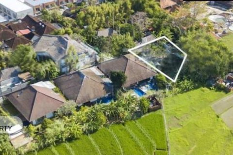 Земельный участок 700м2 в Тампаксиринг, Гианьяр, Бали (8513)