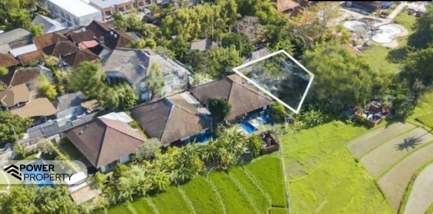 Земельный участок 700м2 в Тампаксиринг, Гианьяр, Бали (8513)