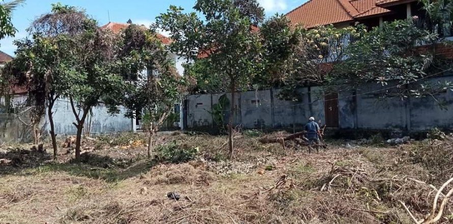 600m2 Land in Canggu, Badung, Bali (8514)
