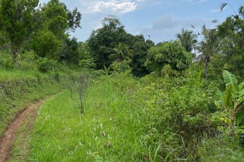 4400m2 Land in Lovina, Anturan, Buleleng, Bali (8511) 5