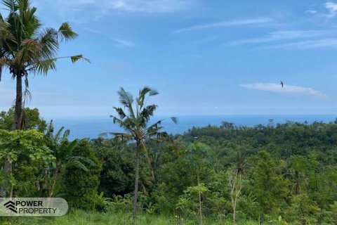 4400m2 Land in Lovina, Anturan, Buleleng, Bali (8511) 4