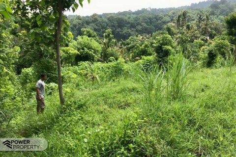 4400m2 Land in Lovina, Anturan, Buleleng, Bali (8511) 9