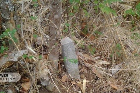 4400m2 Land in Lovina, Anturan, Buleleng, Bali (8511) 10