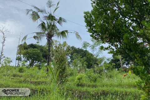 4400m2 Land in Lovina, Anturan, Buleleng, Bali (8511) 2
