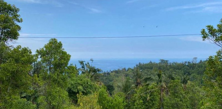 4400m2 Land in Lovina, Anturan, Buleleng, Bali (8511)