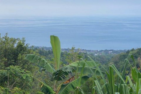 4400m2 Land in Lovina, Anturan, Buleleng, Bali (8511) 8