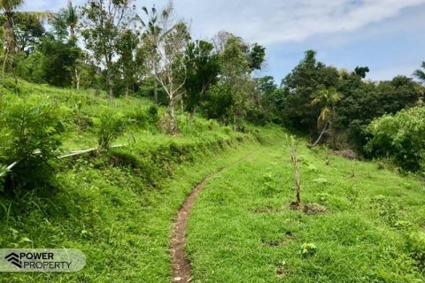 4400m2 Land in Lovina, Anturan, Buleleng, Bali (8511) 11