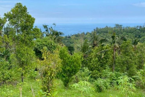 4400m2 Land in Lovina, Anturan, Buleleng, Bali (8511) 12