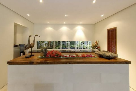 1 bedroom Villa in Seminyak, Badung, Bali (1834) 4