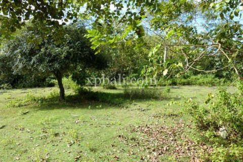 1145m2 Land in South Kuta, Badung, Bali (5960) 4