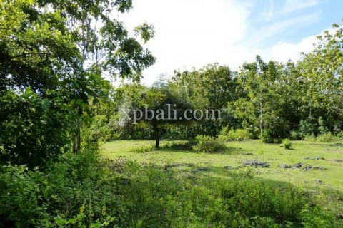1145m2 Land in South Kuta, Badung, Bali (5960) 3