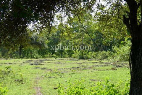 1145m2 Land in South Kuta, Badung, Bali (5960) 5
