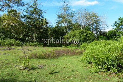 1145m2 Land in South Kuta, Badung, Bali (5960) 2