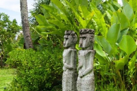 5 bedrooms Villa in Canggu, Badung, Bali (1264) 9