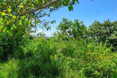 2000m2 Land in South Kuta, Badung, Bali (5813) 7