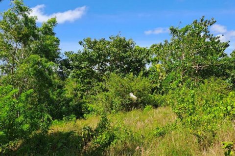 2000m2 Land in South Kuta, Badung, Bali (5813) 3