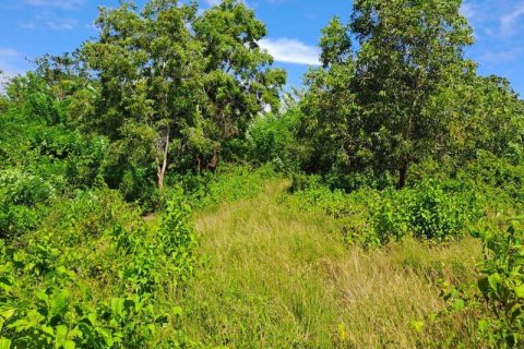 2000m2 Land in South Kuta, Badung, Bali (5813) 6