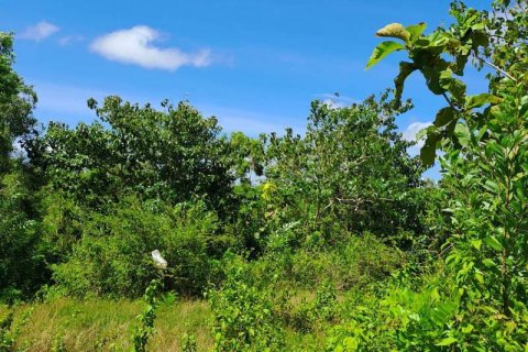 Tanah kavling 2000m2 di Kuta Selatan, Badung, Bali (5813)