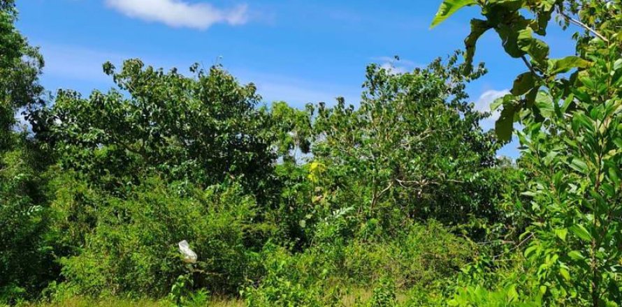 2000m2 Land in South Kuta, Badung, Bali (5813)