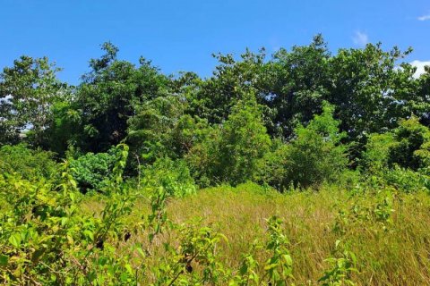 2000m2 Land in South Kuta, Badung, Bali (5813) 9