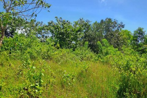 2000m2 Land in South Kuta, Badung, Bali (5813) 5
