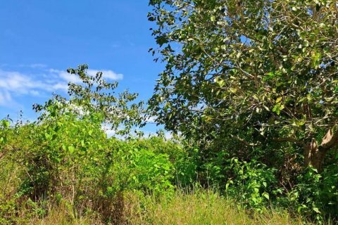 2000m2 Land in South Kuta, Badung, Bali (5813) 8