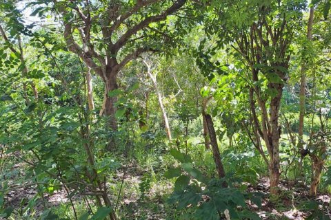 2000m2 Land in South Kuta, Badung, Bali (5813) 2
