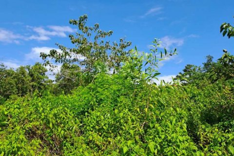 2000m2 Land in South Kuta, Badung, Bali (5813) 4