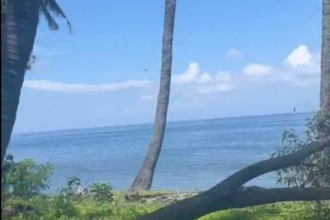 Tanah kavling 7000m2 di Lovina, Anturan, Buleleng, Bali (5816)
