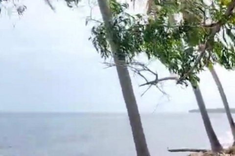 Земельный участок 7000м2 в Ловина, Антуран, Булеленг, Бали (5816) 12