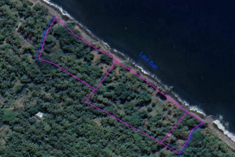 Земельный участок 7000м2 в Ловина, Антуран, Булеленг, Бали (5816) 3