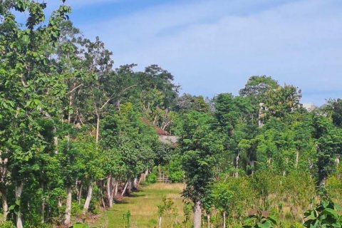 Tanah kavling 3000m2 di Kuta Selatan, Badung, Bali (5812)