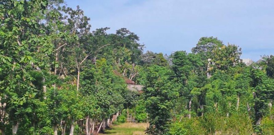 3000m2 Land in South Kuta, Badung, Bali (5812)