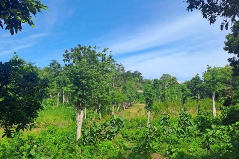3000m2 Land in South Kuta, Badung, Bali (5812) 2