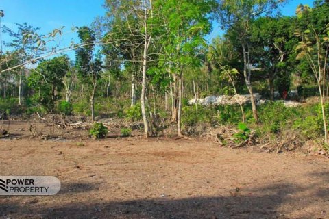 3000m2 Land in South Kuta, Badung, Bali (5812) 6