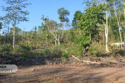 3000m2 Land in South Kuta, Badung, Bali (5812) 4