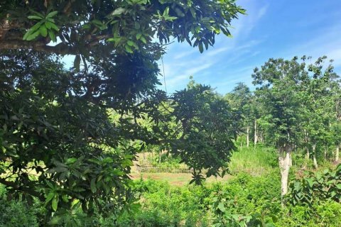 3000m2 Land in South Kuta, Badung, Bali (5812) 3