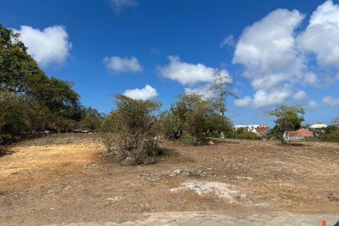 Land in Ungasan, Badung, Bali (11788) 6