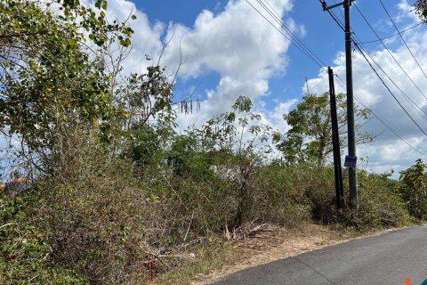 Land in Ungasan, Badung, Bali (11788) 5