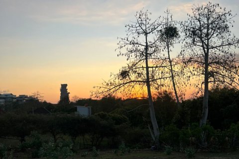 Land in Ungasan, Badung, Bali (11788) 2