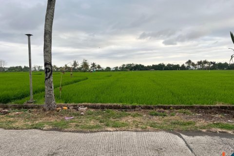 Tanah kavling di Jembrana, Bali (11789)