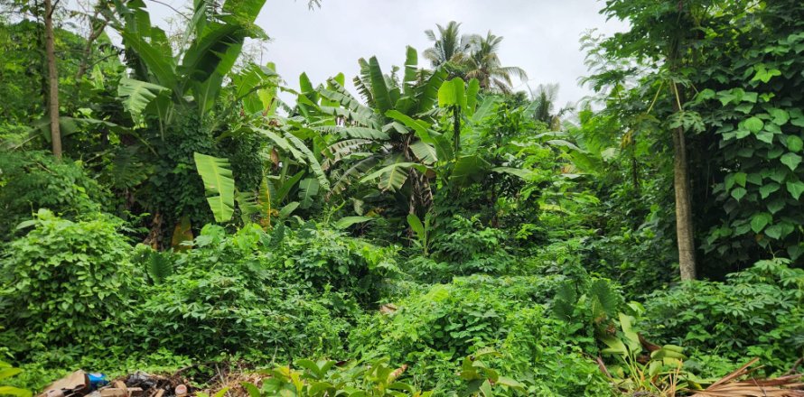 Land in Munggu, Mengwi, Badung, Bali (11783)