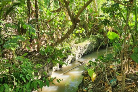 Land in Munggu, Mengwi, Badung, Bali (11783) 2